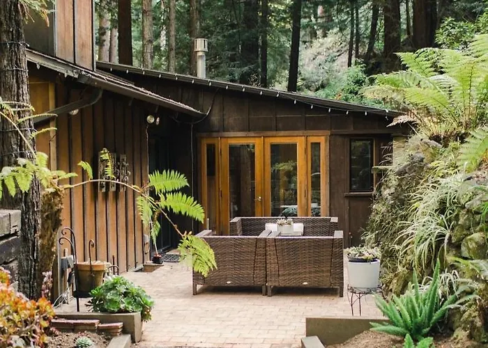 Sur Grove Big Sur